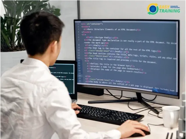 Programador Desktop